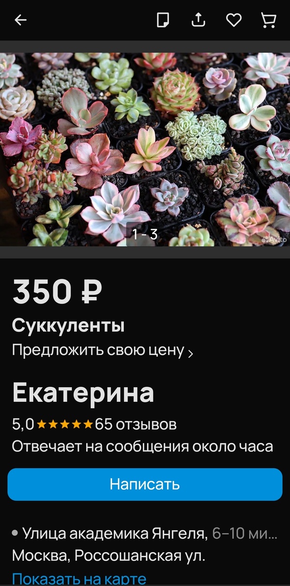 Посмотрите какие прелестные малыши