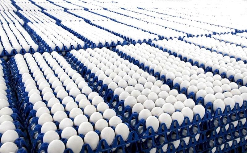    Фото сайта Минсельхоза России admin