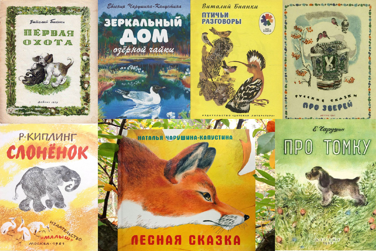 Фото: Инфографика. «Вечерний Санкт-Петербург»