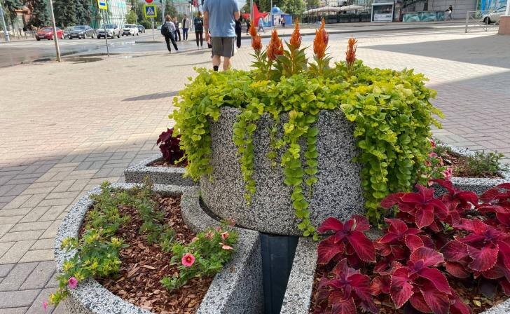    фото Курские известия