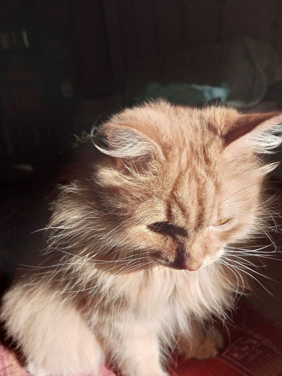  Наше солнышко