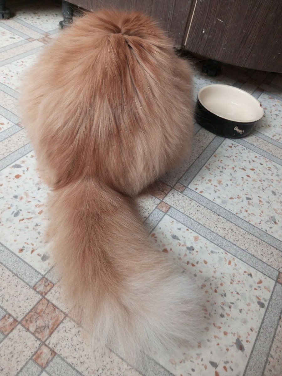  Извините, я документ подписываю, занят