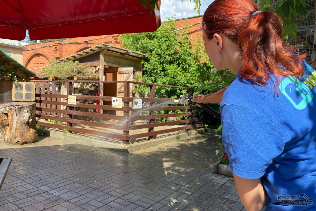    Фото: Ксения Каталова © ИА «Уральский меридиан»