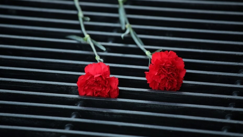    Автор фото: Ваганов Антон/ДП