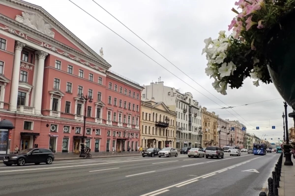    Петербуржцев готовят к платному въезду на Невский