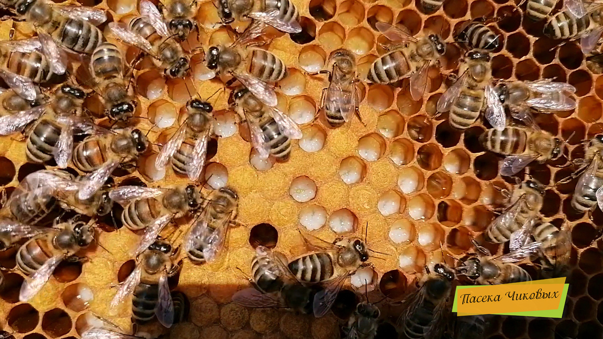 фото просто так...