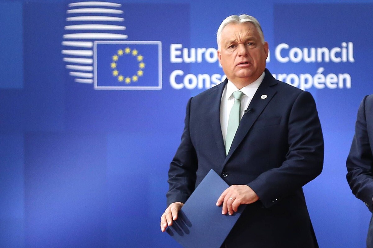     / Источник: © Global Look Press