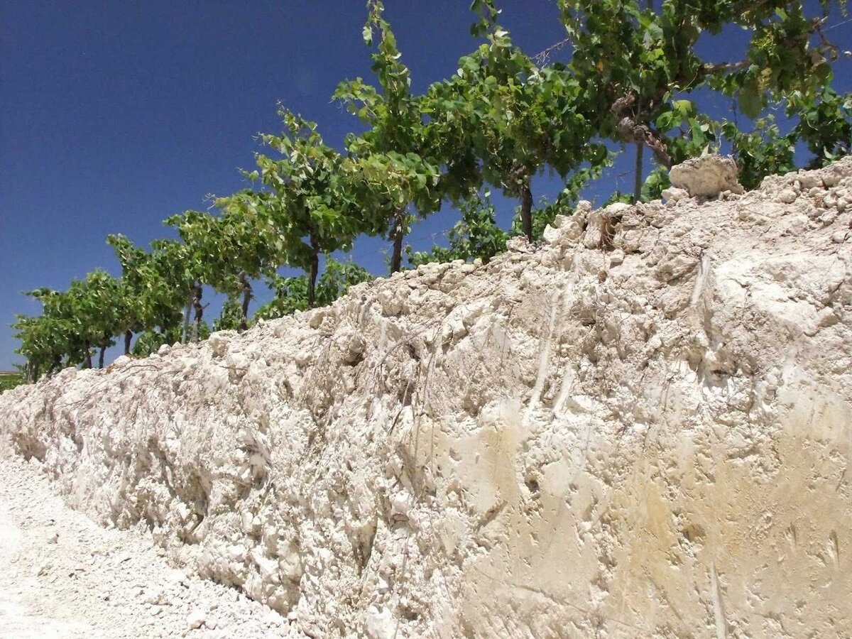 Почвы из киммериджского известняка в Шабли (Chablis), Бургундия