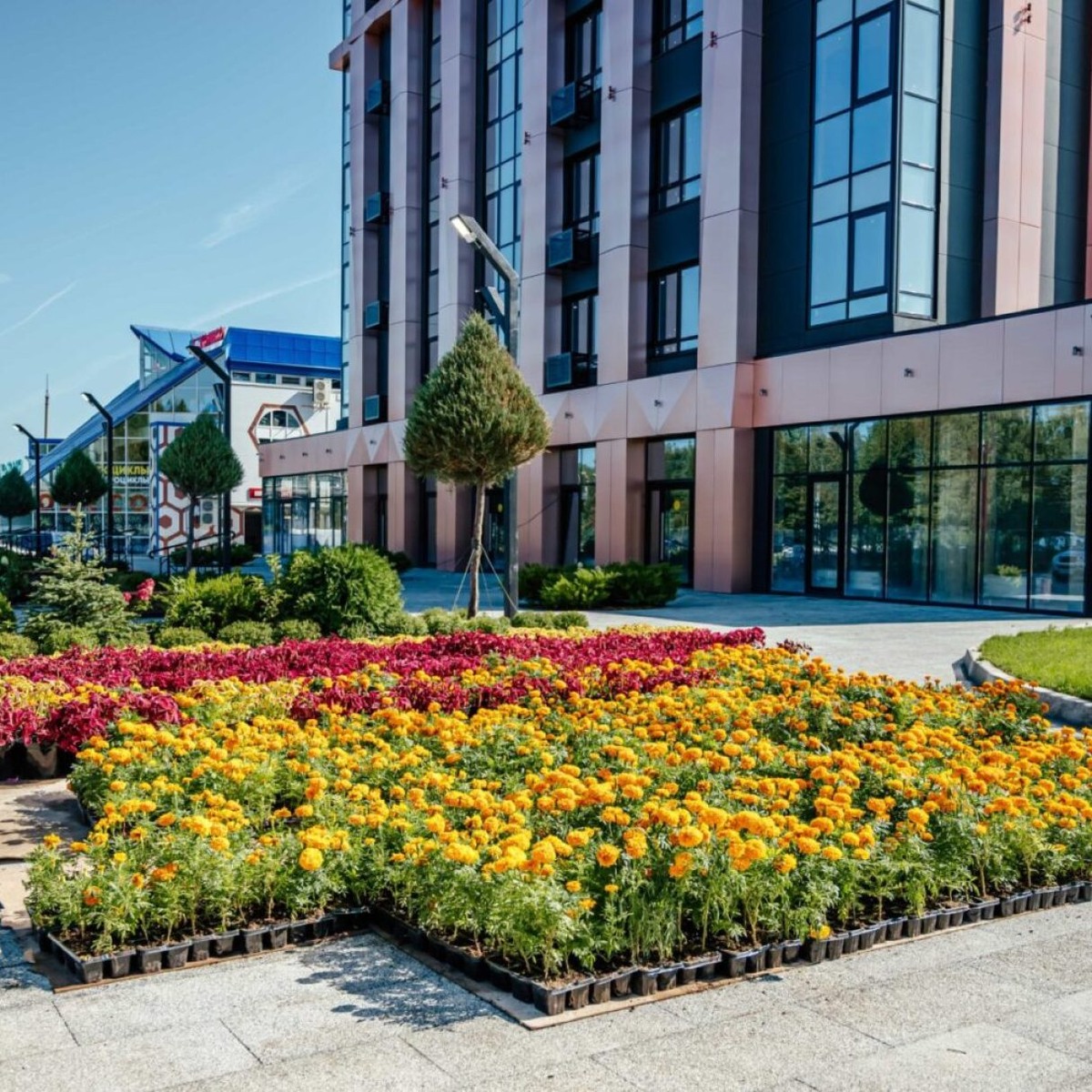 Листайте вправо, чтобы увидеть больше изображений