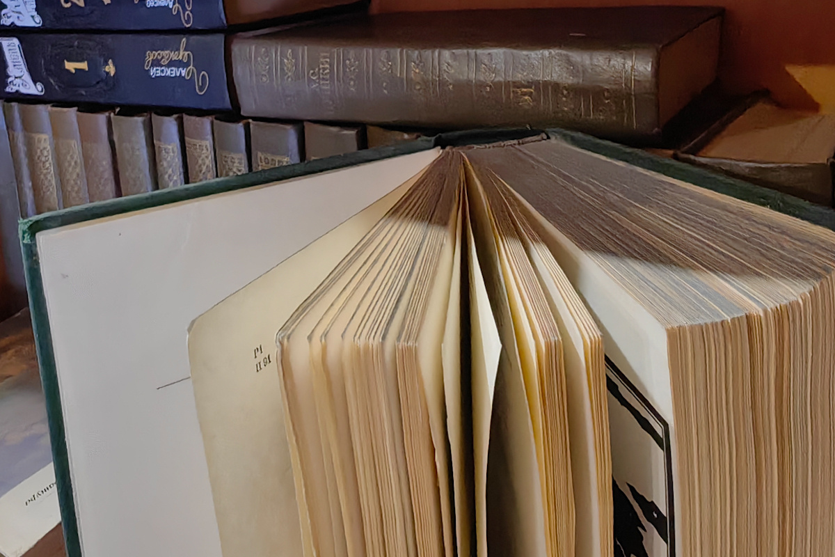    Фото: Лидия Аникина