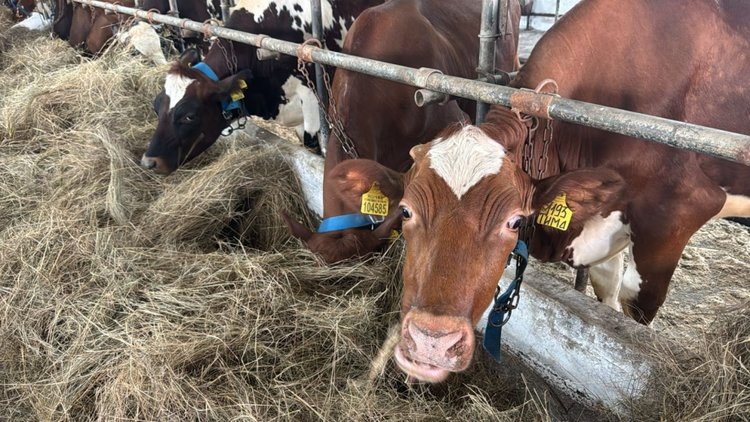    Фото: Правительство Хабаровского края