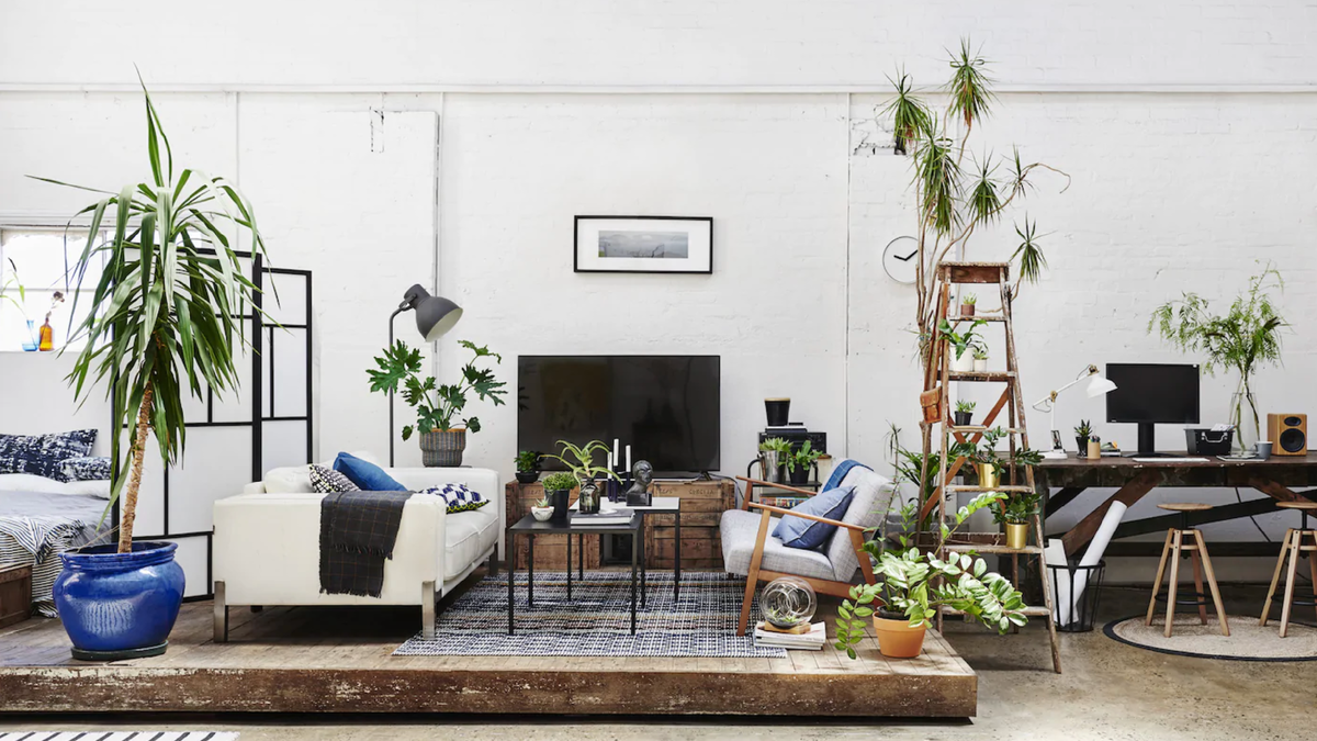 Изображение из открытых источников дано в иллюстративных целях