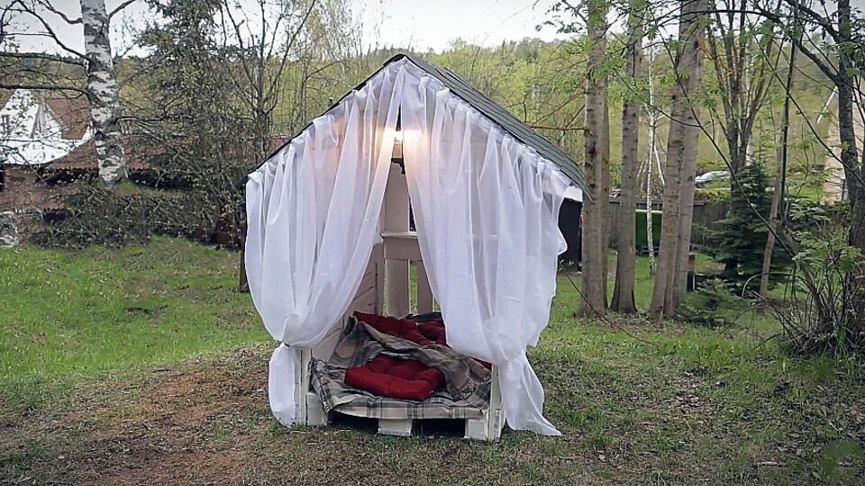 Фото: © Кадр из программы "Самая народная программа", РЕН ТВ