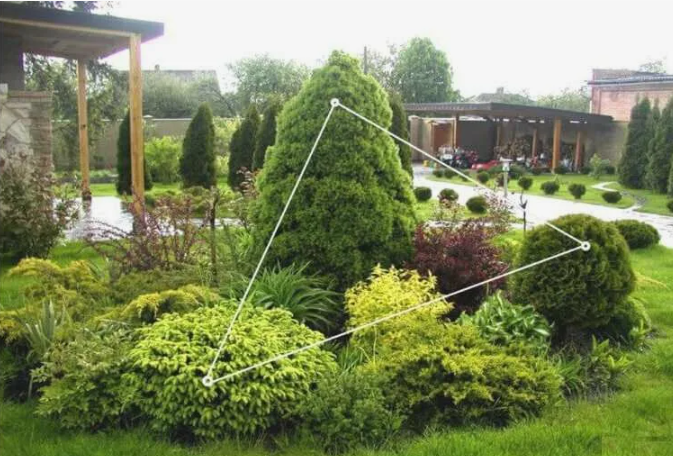 "Золотое сечение" в саду: как создать в саду картинку, а не хаотичное нагромождение растений