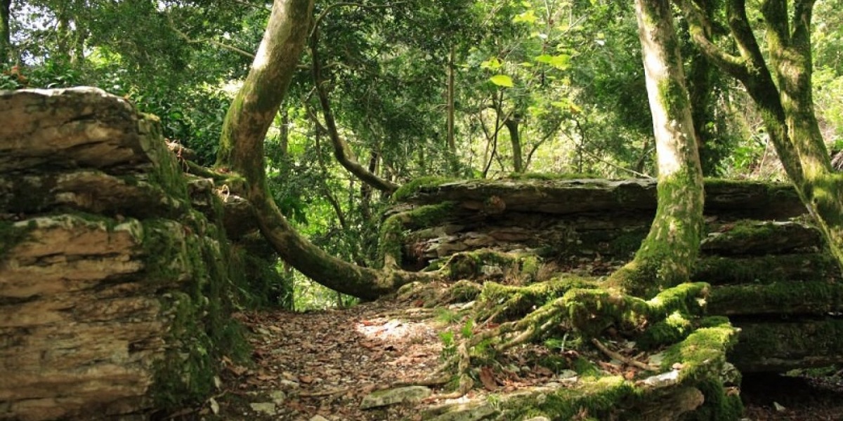 фото: kavkazzapoved.ru  📷
