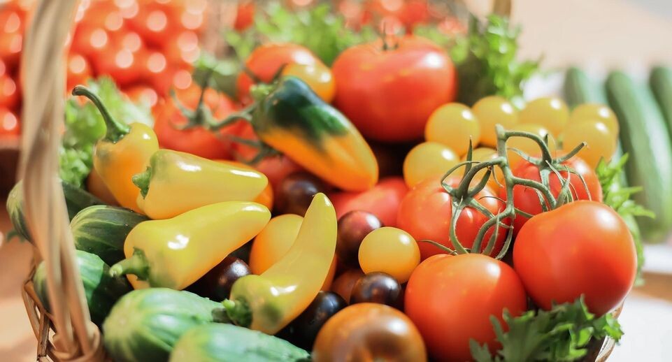    Медиасток.РФ