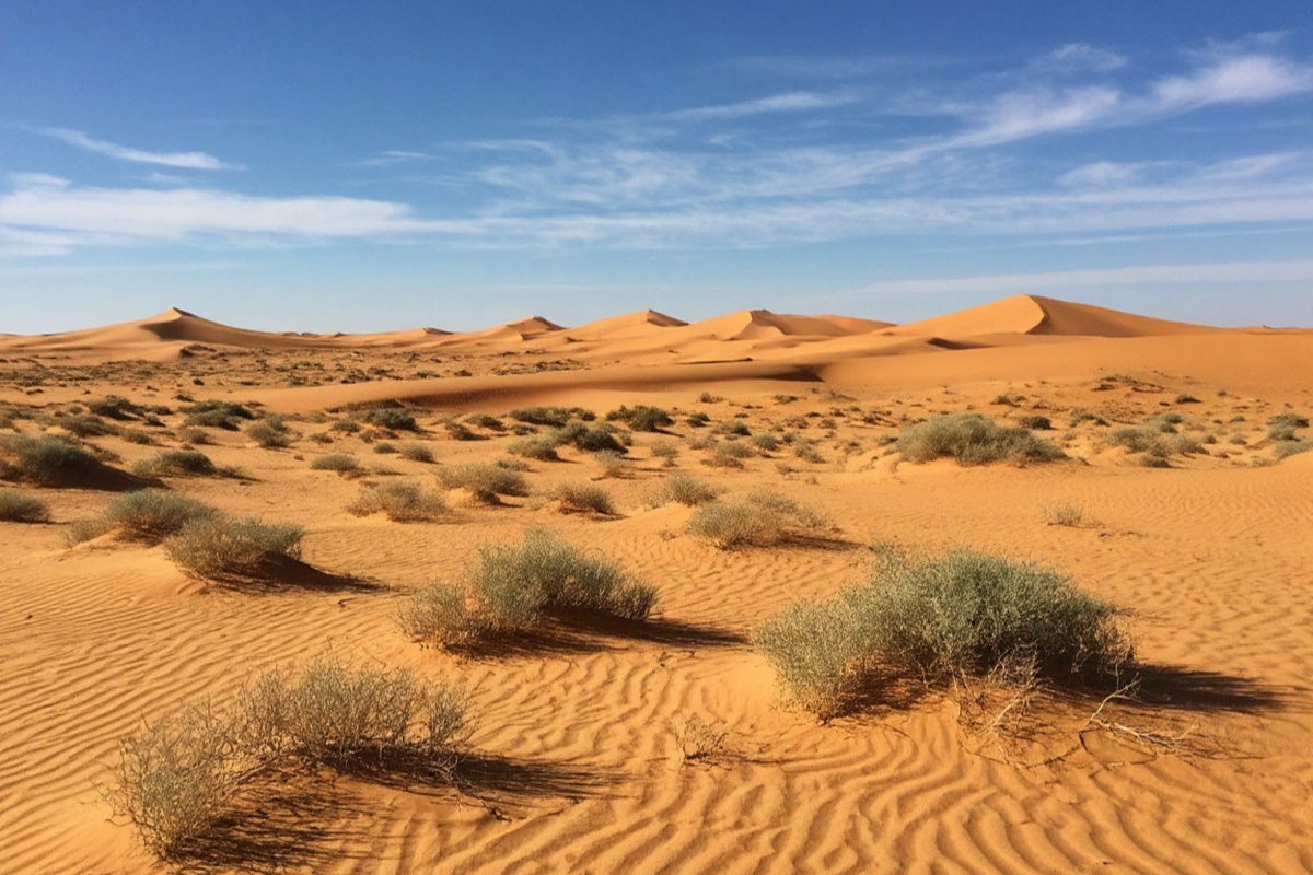    Фото: Шедеврум