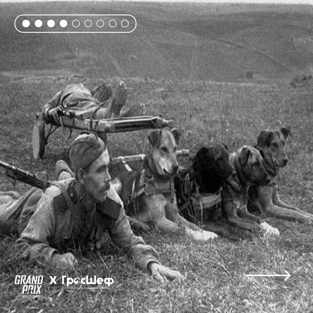 Связисты, разведчики и спасатели