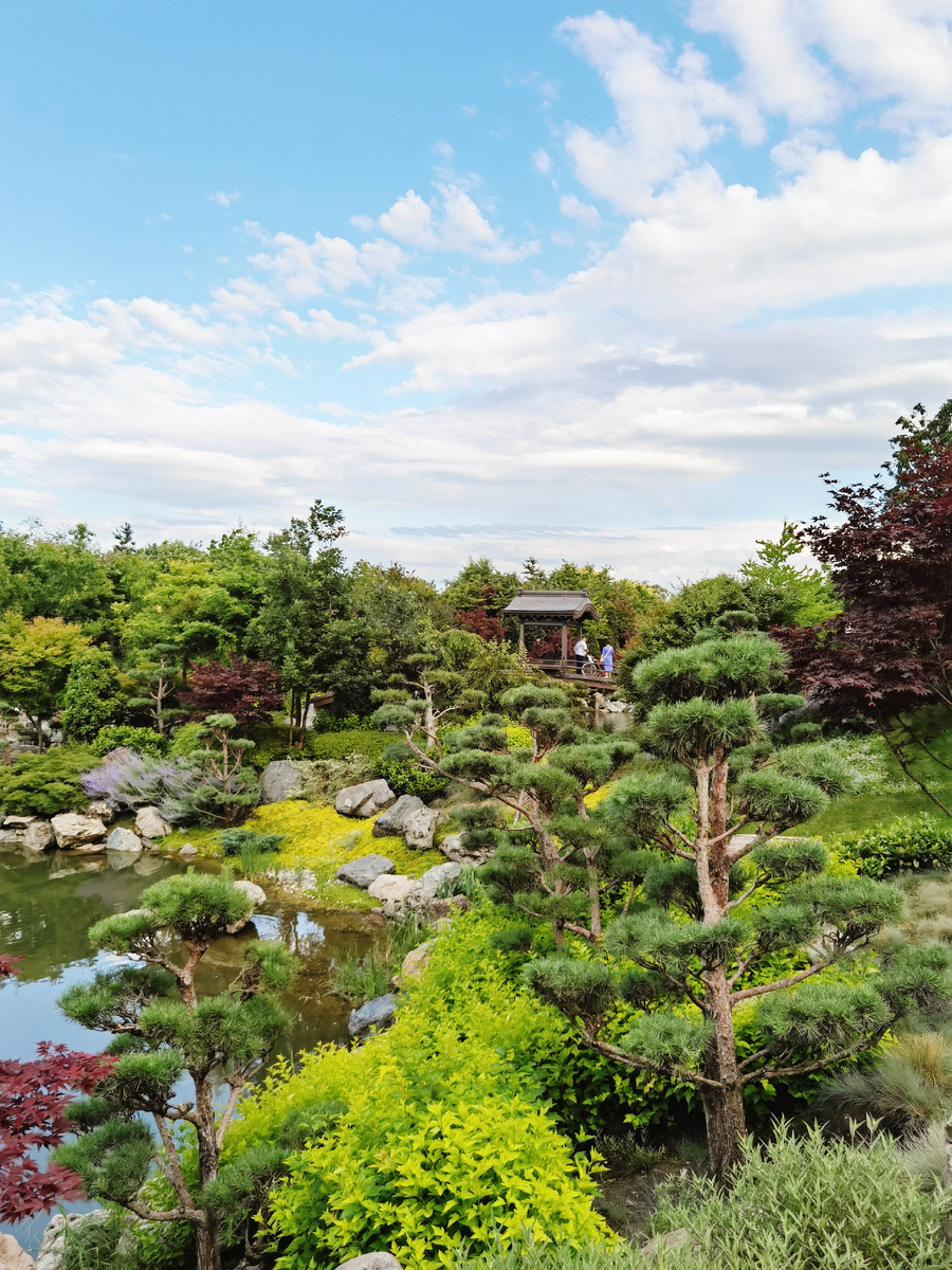 Сад, как уютный мирок