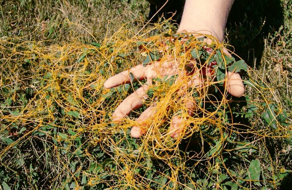     Фото: Виталий ГАРКУША