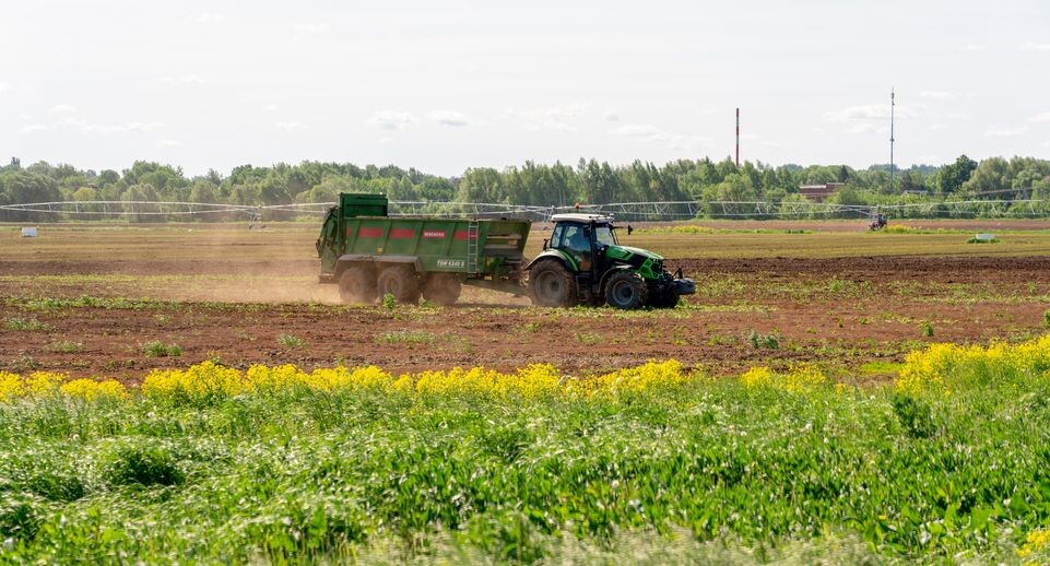    Медиасток.рф