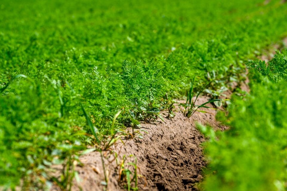    Медиасток.рф