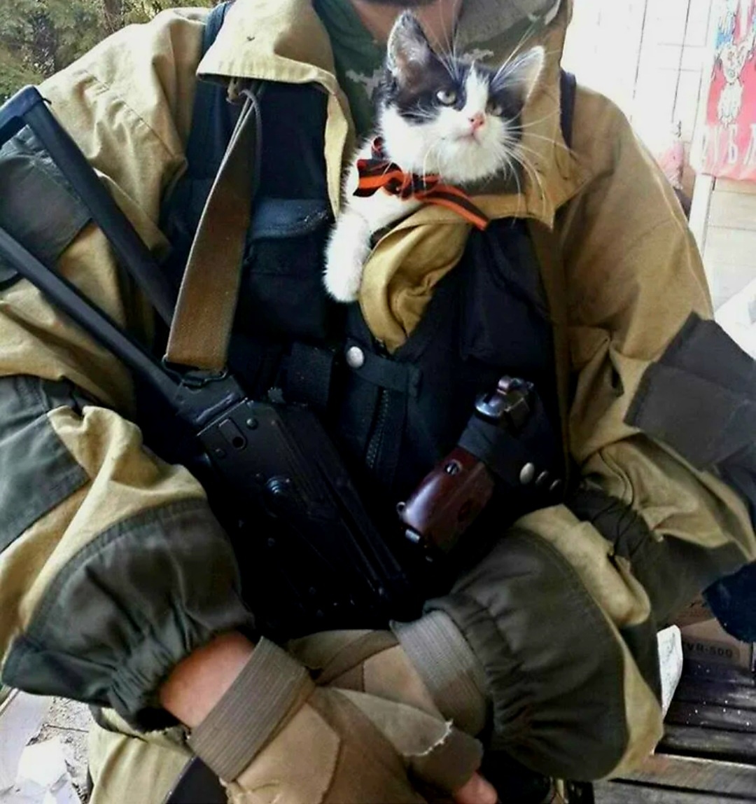 Фотография из открытого доступа 