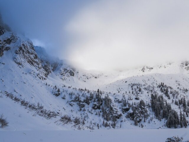    Фото: 123RF/koziolkamila