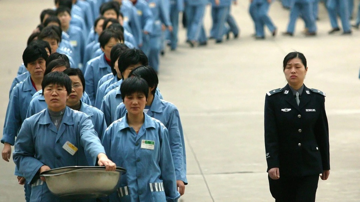 Источник https://avatars.mds.yandex.net/i?id=31b705145d2d514f3f4bc6d06d3cee6a_l-5146892-images-thumbs&n=13