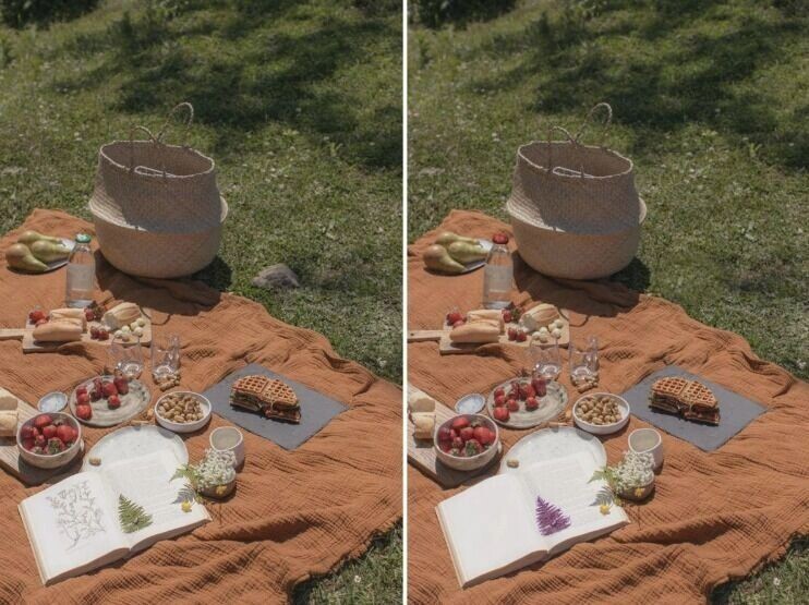 Быстрый тест на риск деменции: найдите отличия на этой картинке. Фото: vokrugsveta.ru