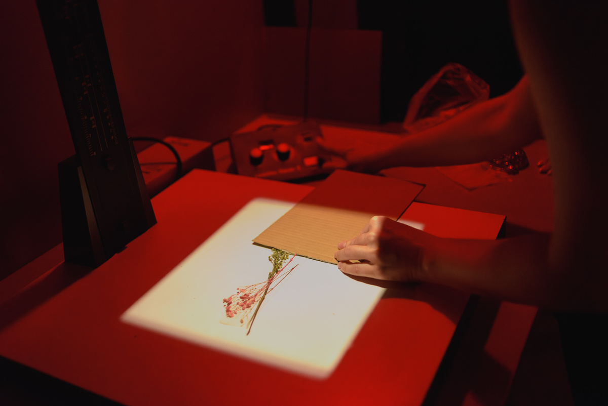    Московская школа современного искусства проводит ежегодный фестиваль Contemporary Art Day (фото 2)