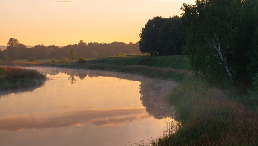    Фото: KazanFirst