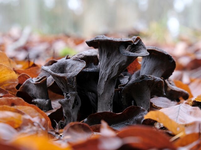    Фото: 123RF/iwciagr