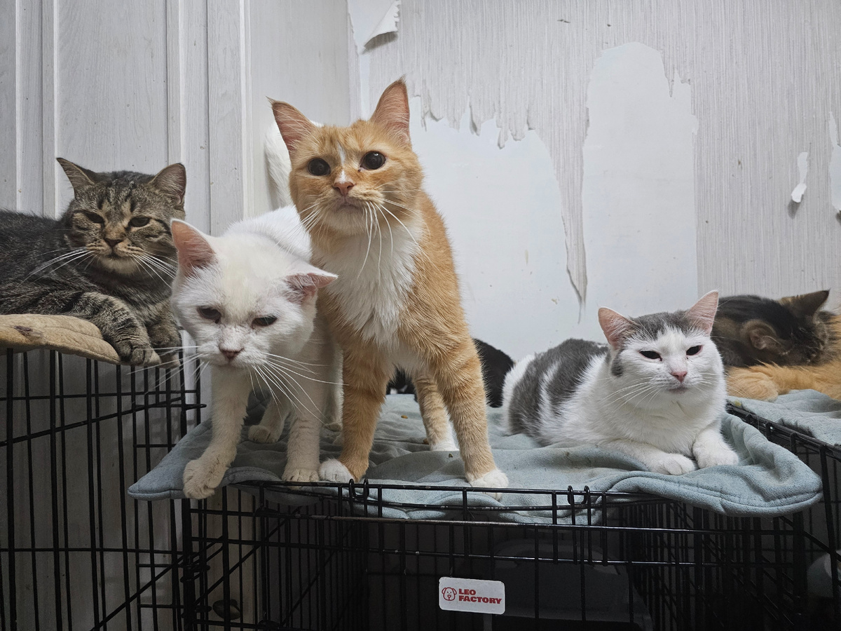 Фото автора. Ребятки наши.