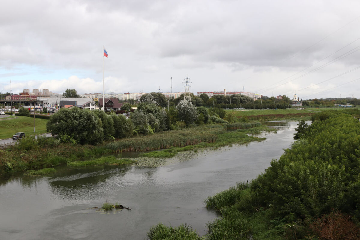 Фото: Тульская служба новостей