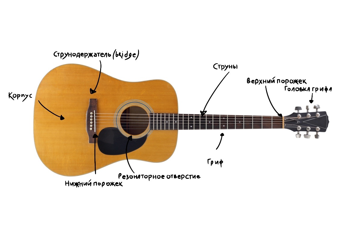 PrimaStockPhoto / Shuttersock / FOTODOM📷Структура акустической гитары