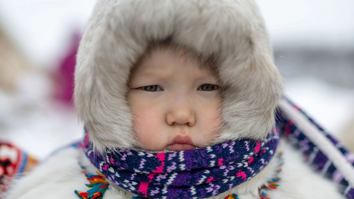    Фото: Юлия Чудинова / «Ямал-Медиа»