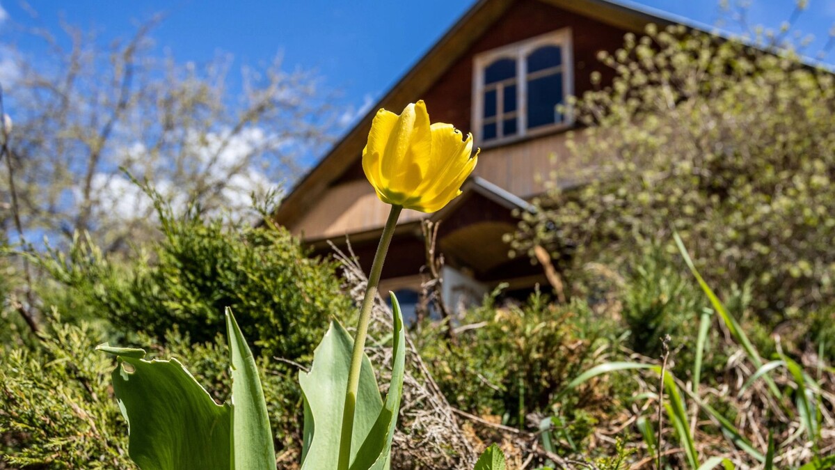    Фото: vvoe / Shutterstock / Fotodom