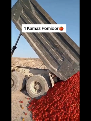 Кадр видео из цитируемого источника