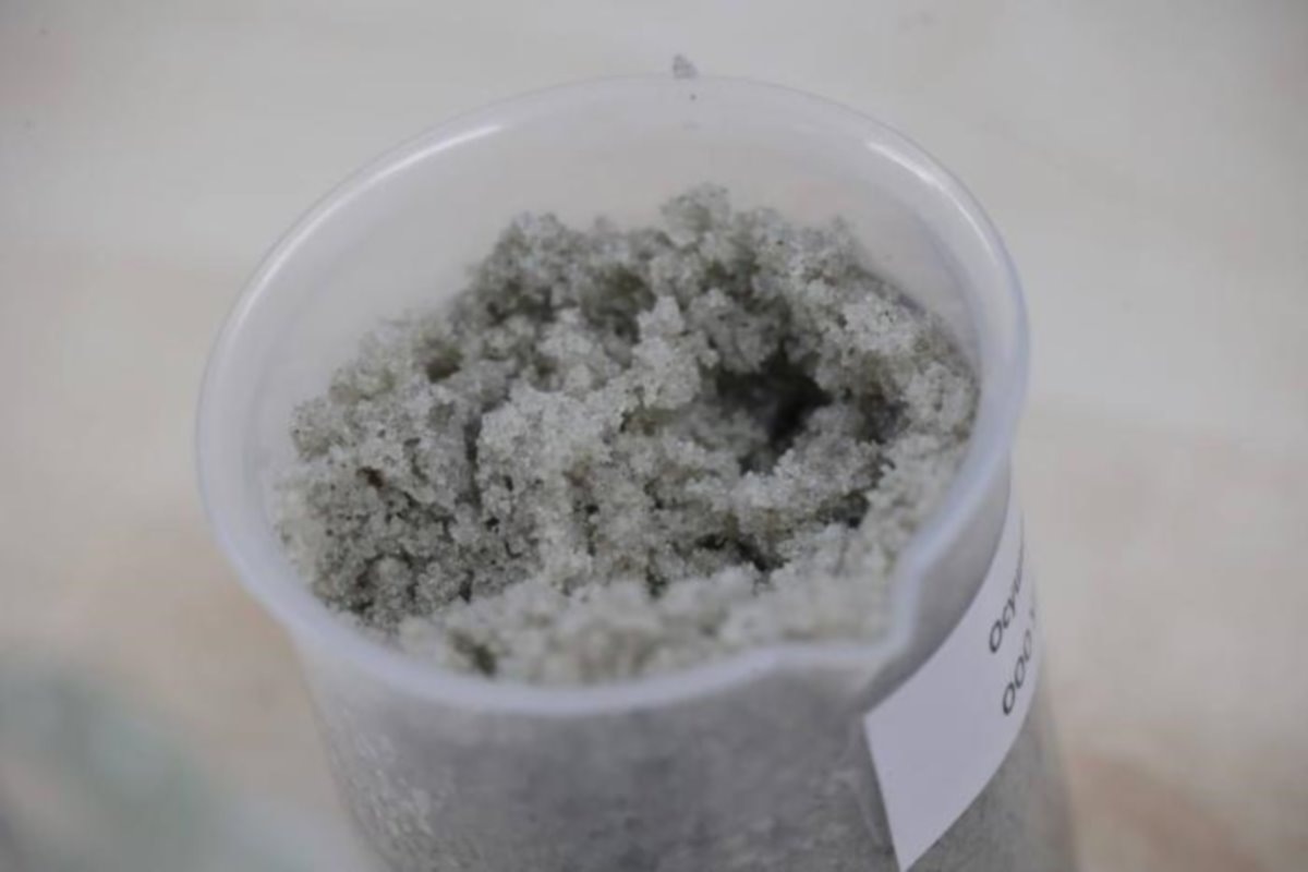    Фото: Денис Паслер / Telegram, источник: ku66.ru