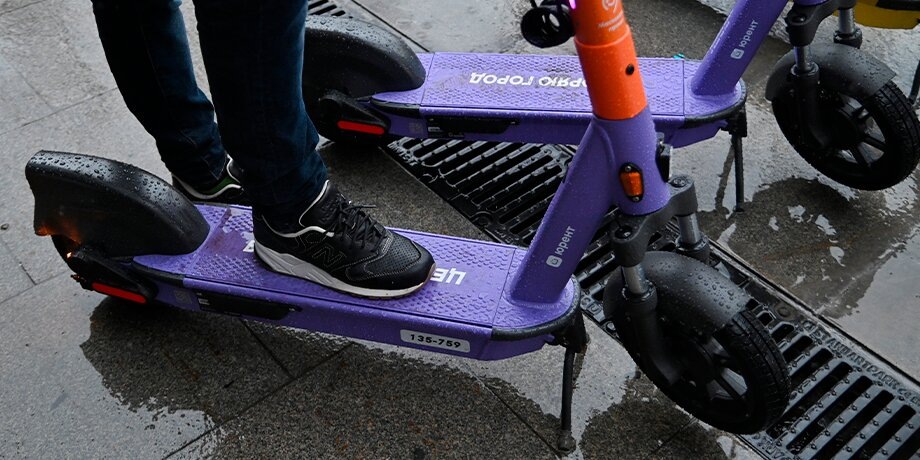    Фото: Москва 24/Юлия Иванко