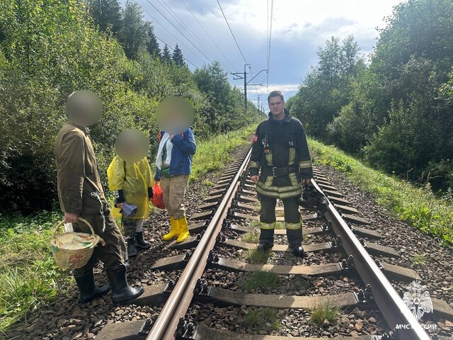 Этот коварный лес! В Тверской области спасатели вывели из леса грибников