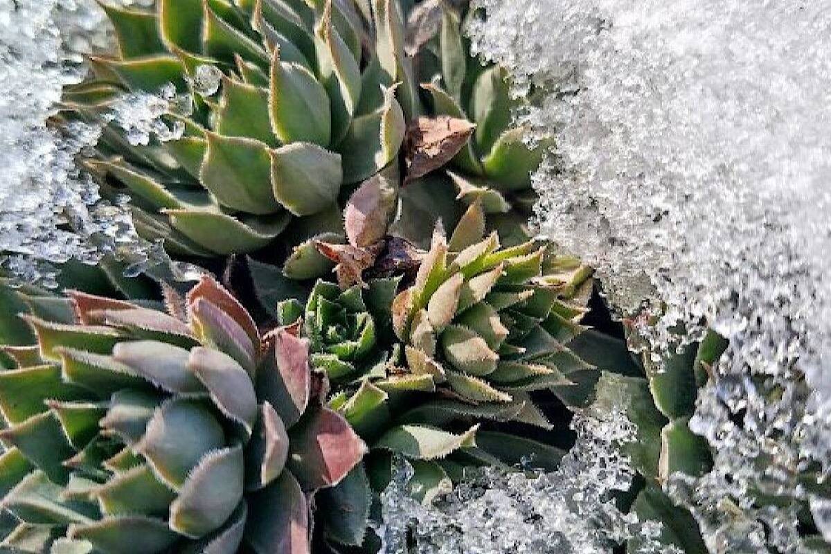    Фото: телеканал «Краснодар»