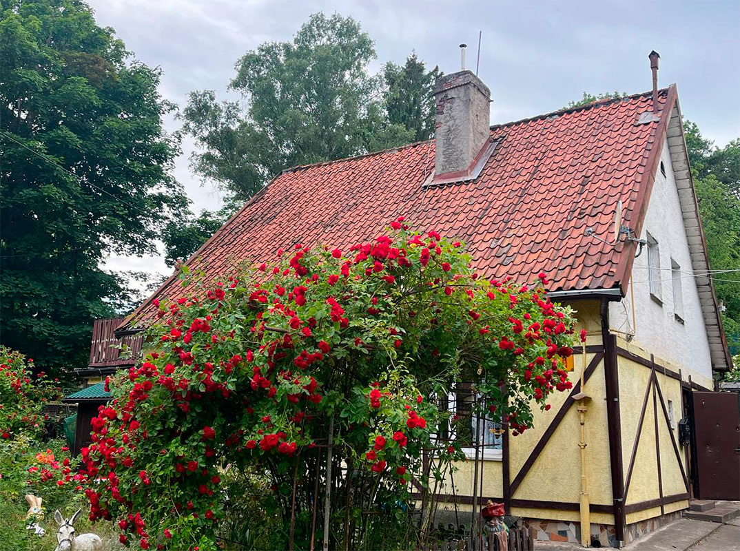 Во вторник воздух прогрелся до +24 градусов.  Фото: Фото: ФедералПресс / Анна Крючкова
