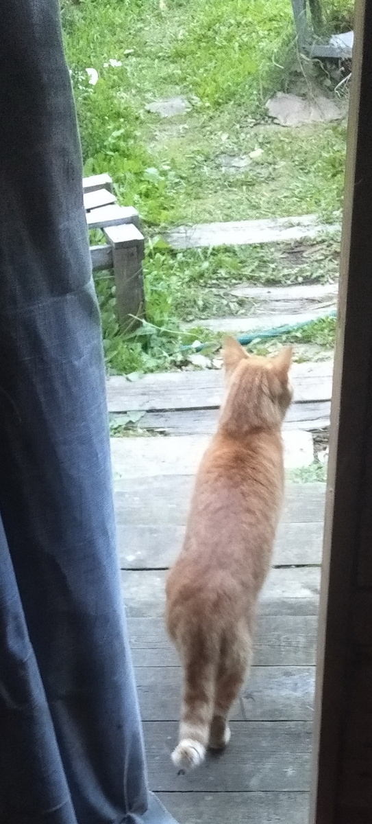 личное фото