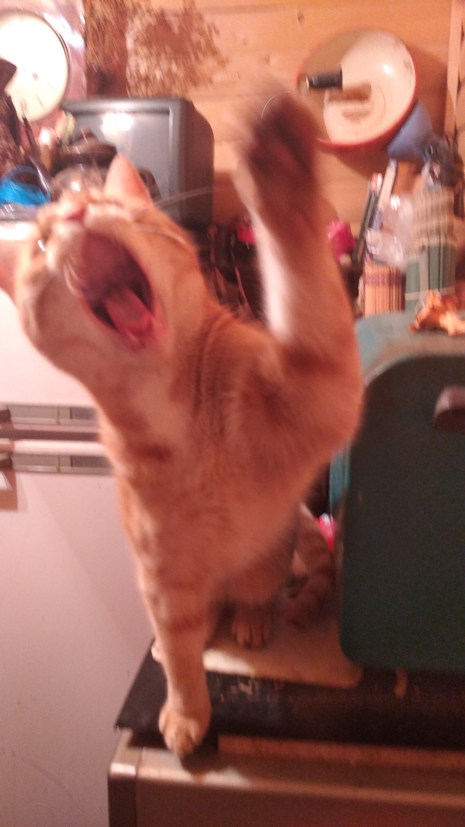 личное фото