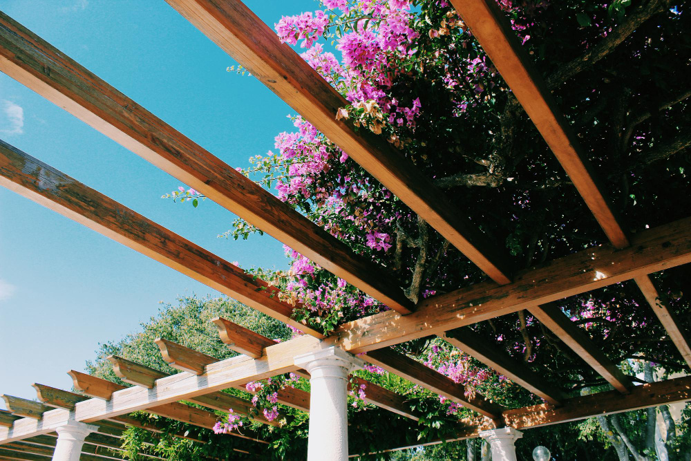 Пергола на садовом участке