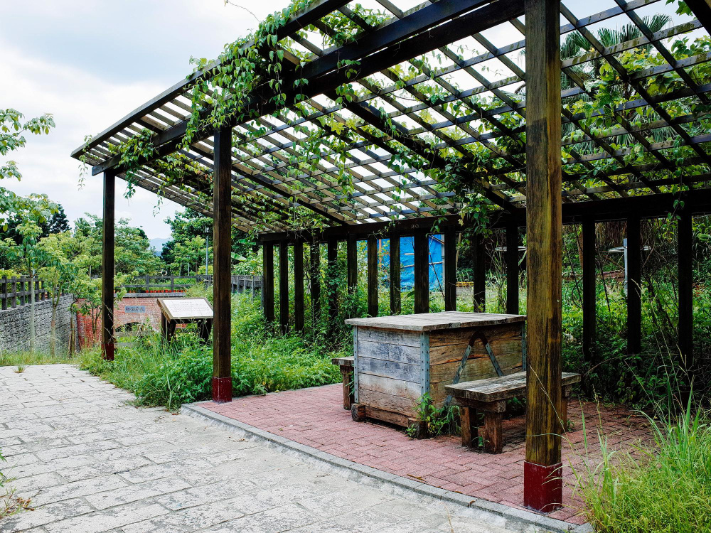 Деревянная пергола на участке