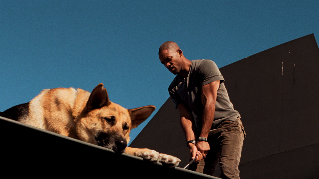 Уилл Смит в фильме - "Я легенда"