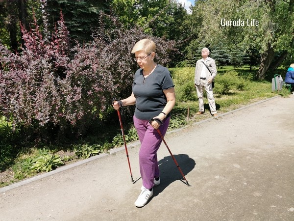     Фото: Города Лайф
